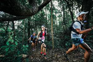 BIB: 
                            <button type="button" onclick="openModal(25390602)" class="btn btn-primary btn-sm float-right btn-popup" data-toggle="modal" data-target=".modal-high-quality">
                        <i class="fas fa-shopping-cart"></i> Add to Cart
                    </button>
                                            <button type="button" onclick="isThisMe(25390602, true)" class="btn btn-success btn-sm float-right btn-popup btn-isme hidden" data-toggle="tooltip" data-placement="bottom" title="นี่คือรูปของคุณใช่ไหม คลิกที่นี่เพื่อเอาเข้าอัลบั้ม">
                        <i class="fas fa-plus"></i> Add to album
                    </button>
                    <button type="button" onclick="isThisMe(25390602, false)" class="btn btn-warning btn-sm float-right btn-popup btn-isnotme hidden">
                        <i class="fas fa-ban"></i> Remove from album
                    </button>